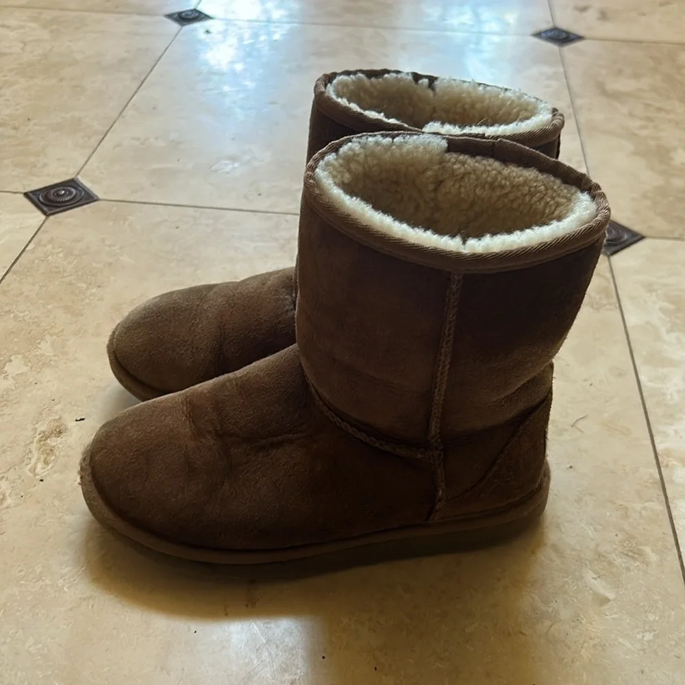 Classic Short- Ugg
